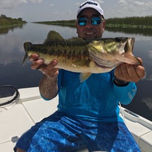 Everglades bass Aug 10th 2018